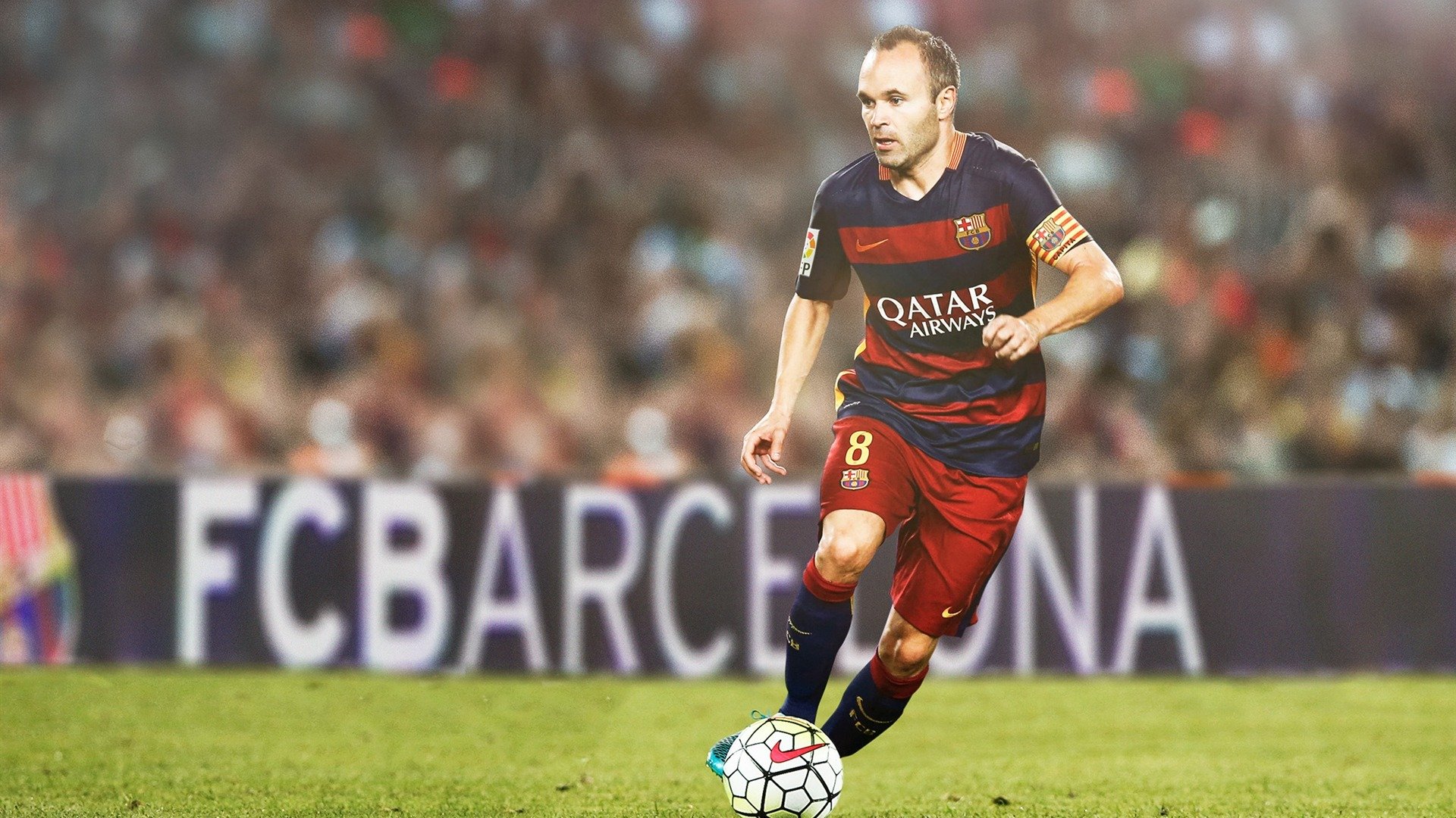 开云备用-_体育+生态：绿色运动健康新理念_，绿色主题健康运动